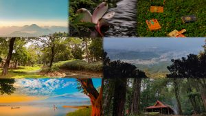 Semesta dalam Kacamata Sastra