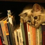 5 Tips Mengatasi Reading Slump Agar Minat Baca Kembali