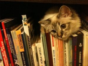 5 Tips Mengatasi Reading Slump Agar Minat Baca Kembali